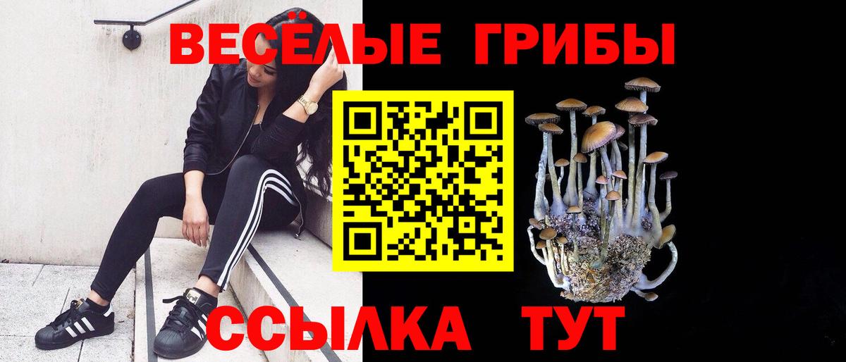 Псилоцибиновые грибы мухоморы  Псилоцибиновые грибы MAGIC MUSHROOMS  Вход с VPN  Жуковский 